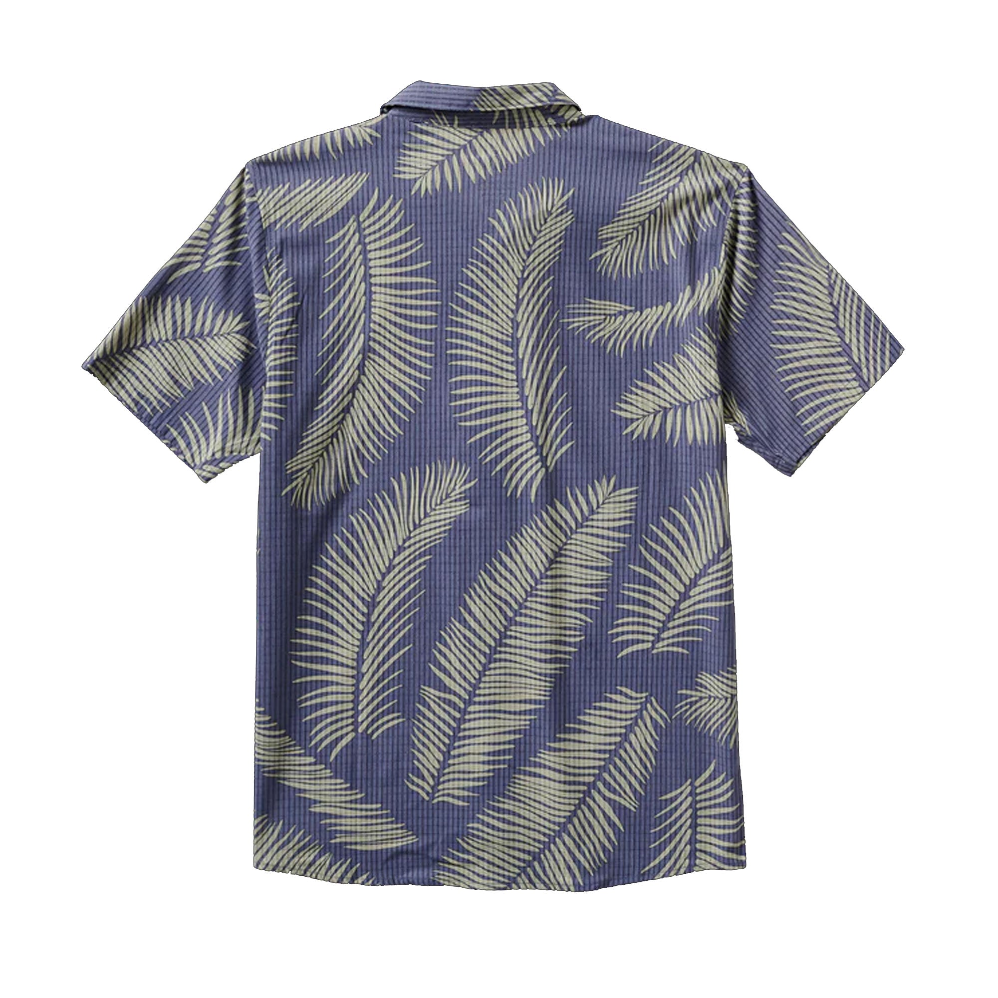 fern1_d7e730f5-f0da-4045-88d1-2da6024fb513