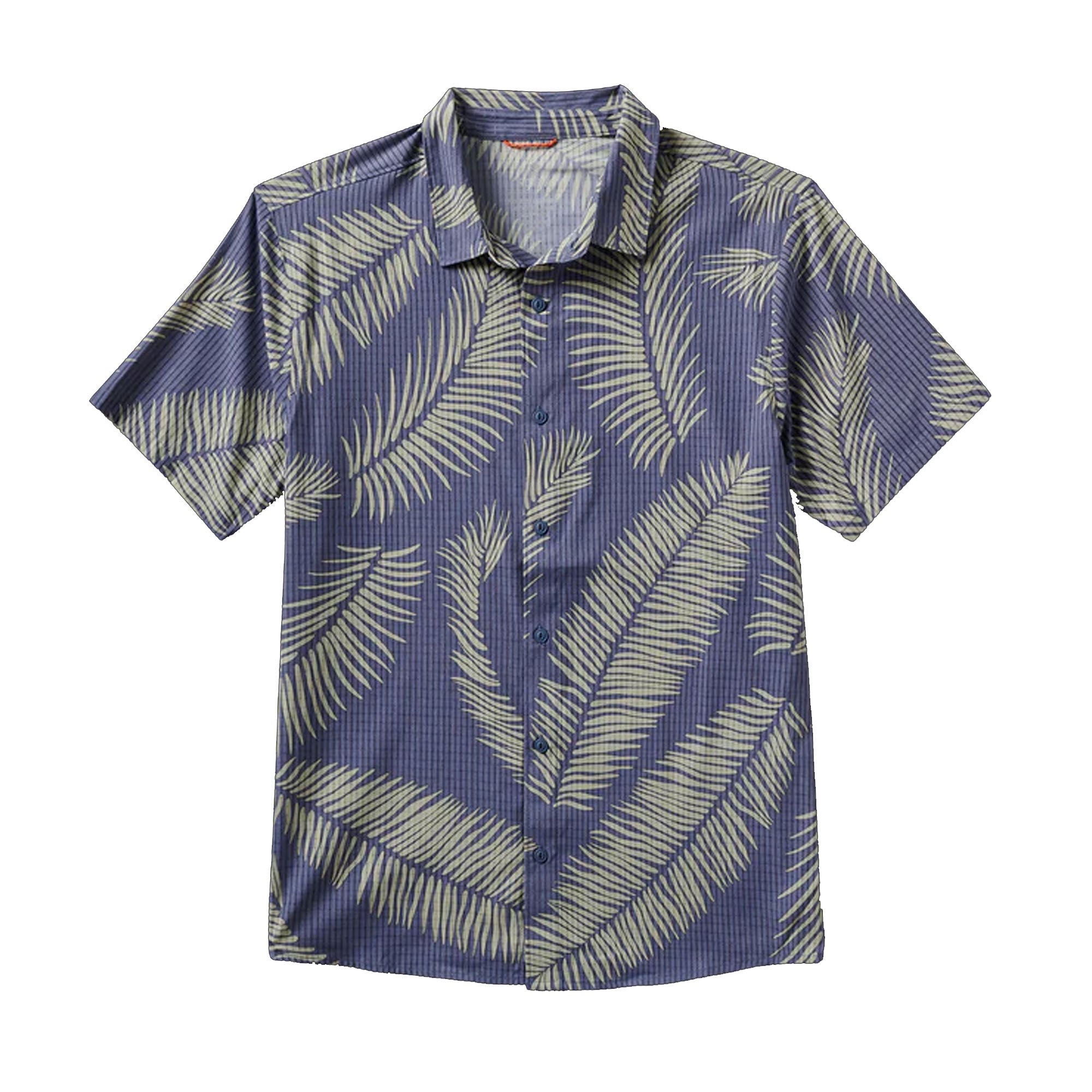 fern2_e7a182cd-35af-4efa-8e07-80640262bc5b