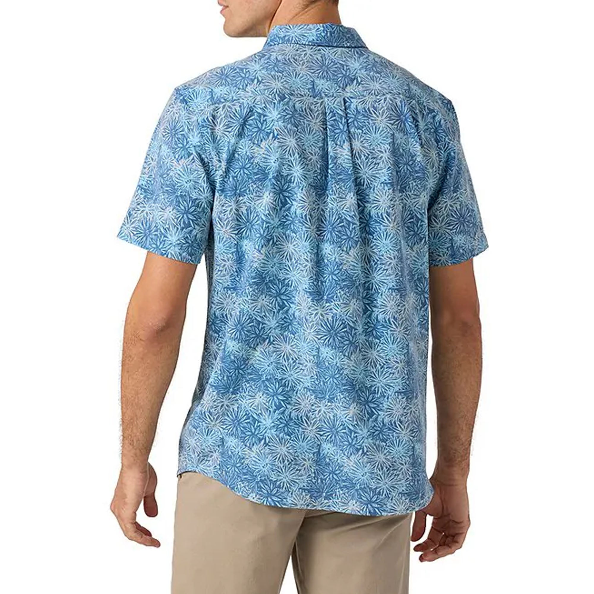 in2_6558edd3-ccb5-48d6-9fde-acf524b6796b